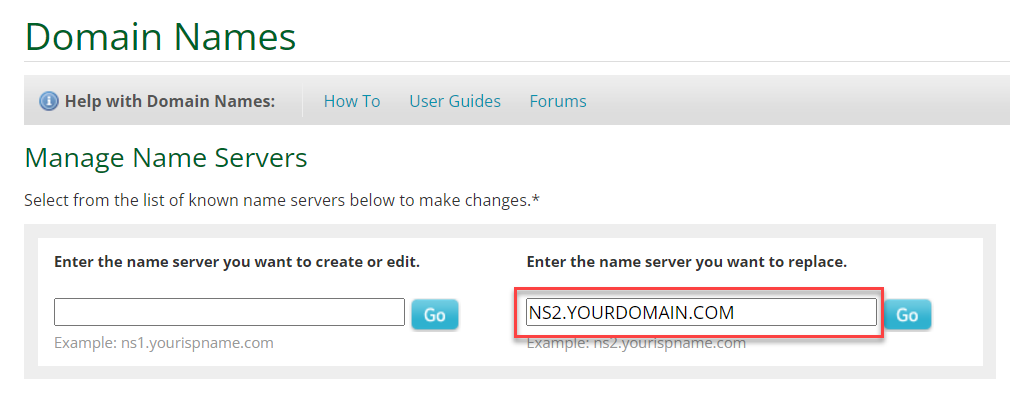 Enter Custom Nameserver to replace