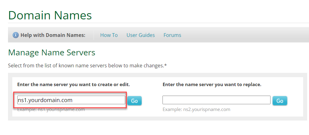 Enter Custom Nameserver